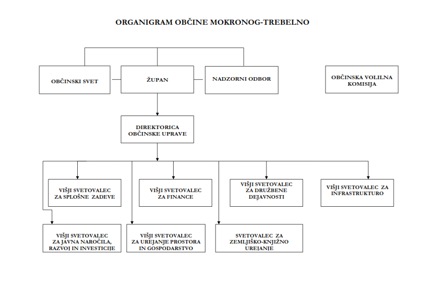 ORGANIGRAM OBČINE MOKRONOG-TREBELNO_2022_001